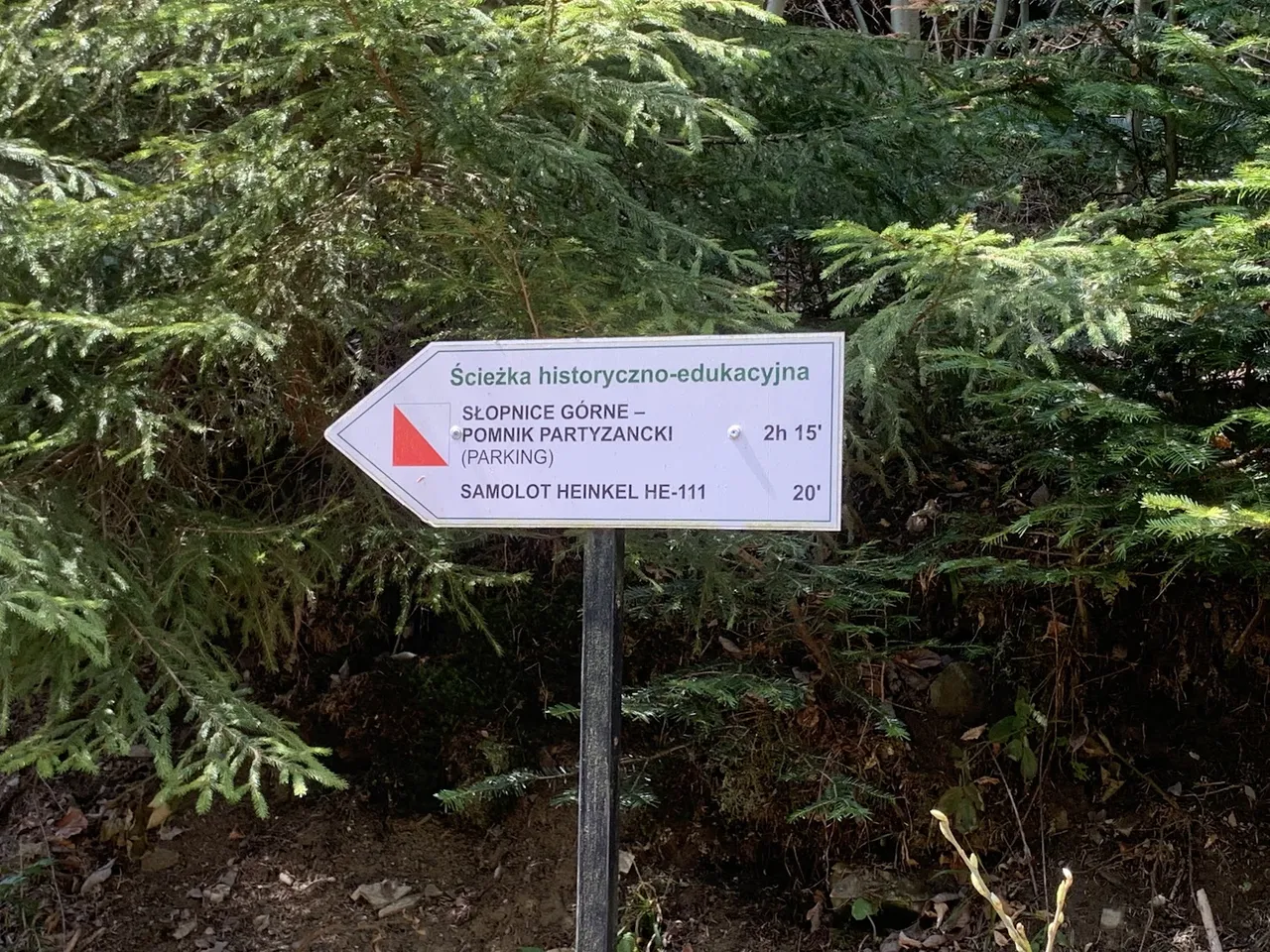 Ścieżka edukacyjna odchodząca od żółtego szlaku z Słopnic na Mogielicę