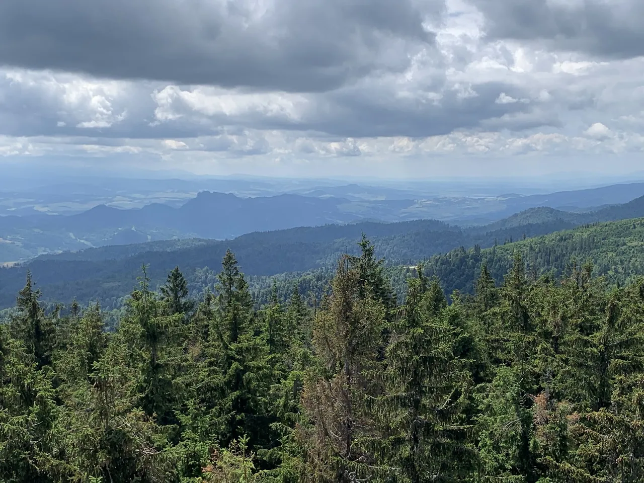 Widok z Radziejowej na Pieniny