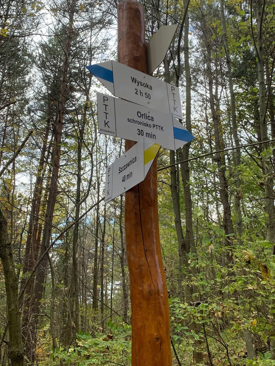 Rozejście szlaków pod Szafranówką - żółtym dojdziemy do Szczawnicy, niebieski biegnie dalej grzbietem do schroniska Orlica.