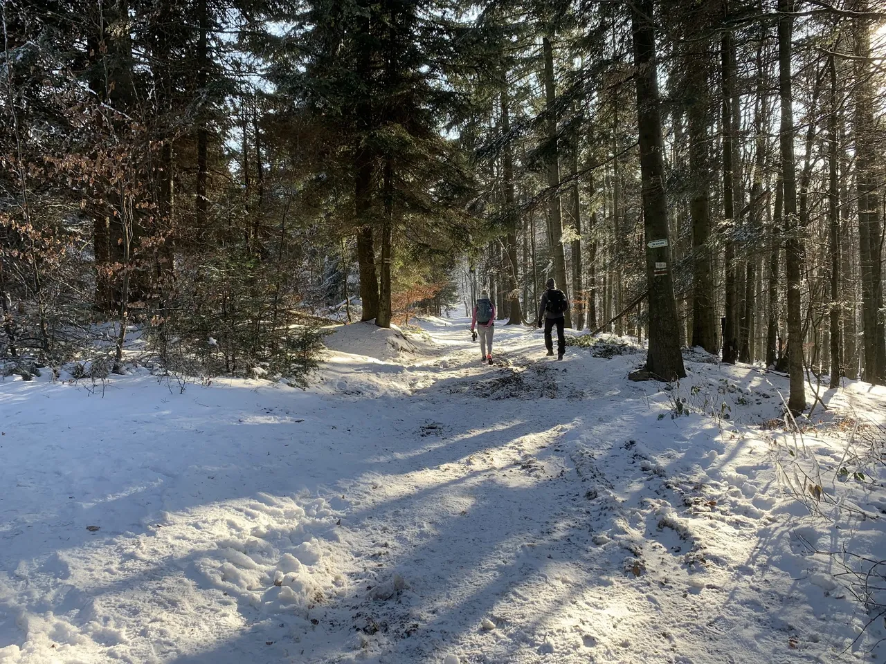 Trzy Kopce w paśmie Łysiny i Lubomira - Beskid Makowski