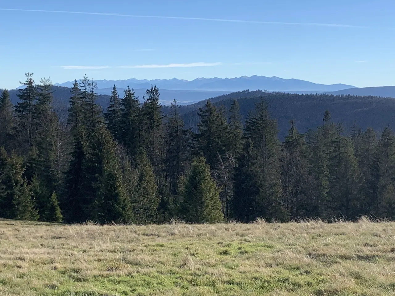 Widok na Tatry z Hali Rycerzowej