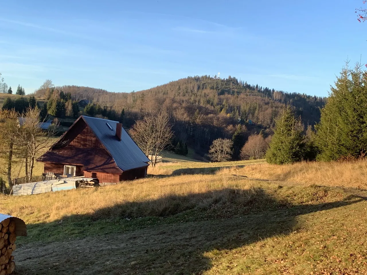 Widok spod schroniska na Przegibku na Bendoszkę Wlk (z krzyżem)