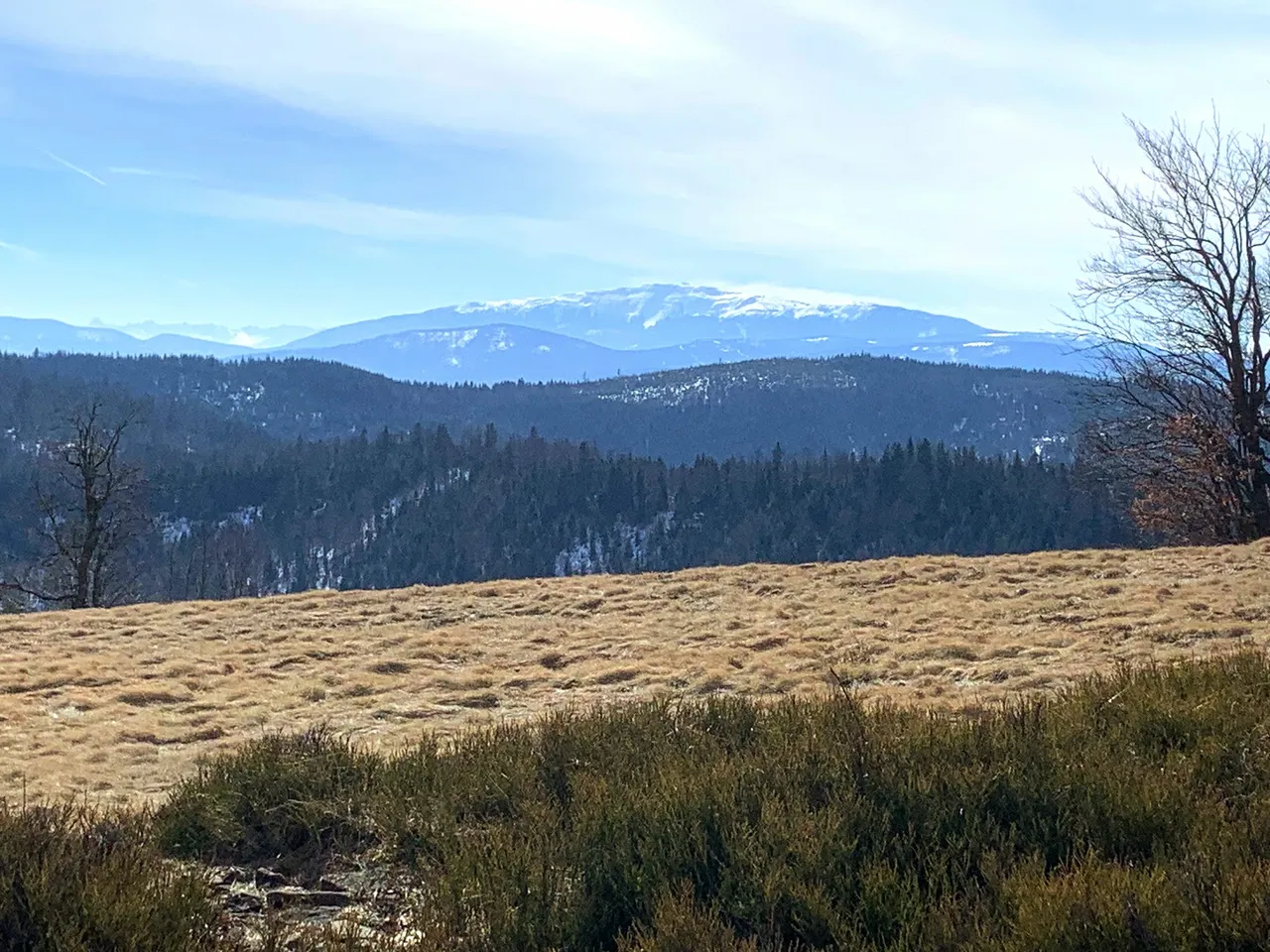 Widok na Babią Górę z Potrójnej (883m)