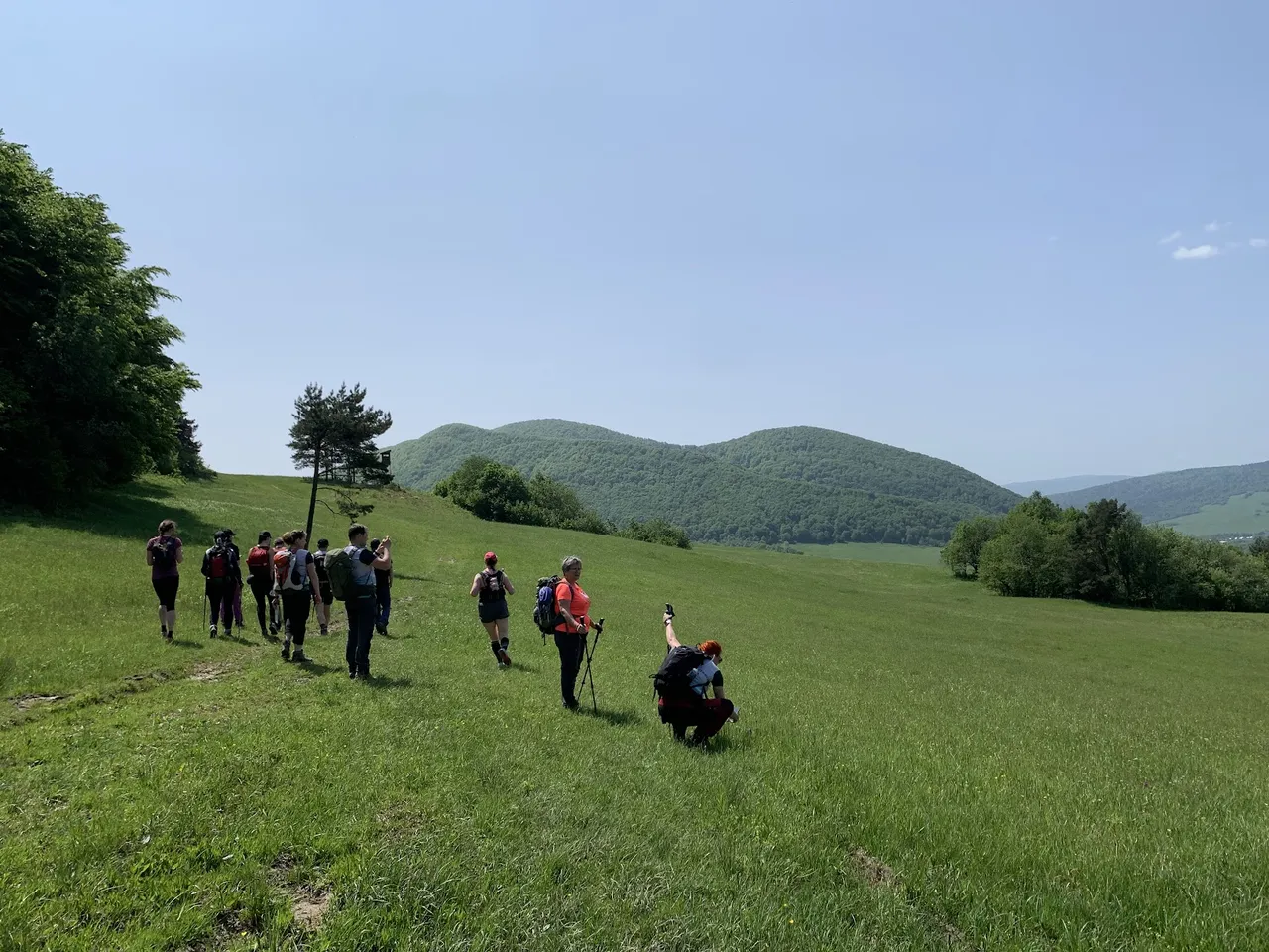 Busov widziany z siodła Cigel’ka. Po szczytem widać poprzeczną bruzdę, oddzielającą go od Palenicy