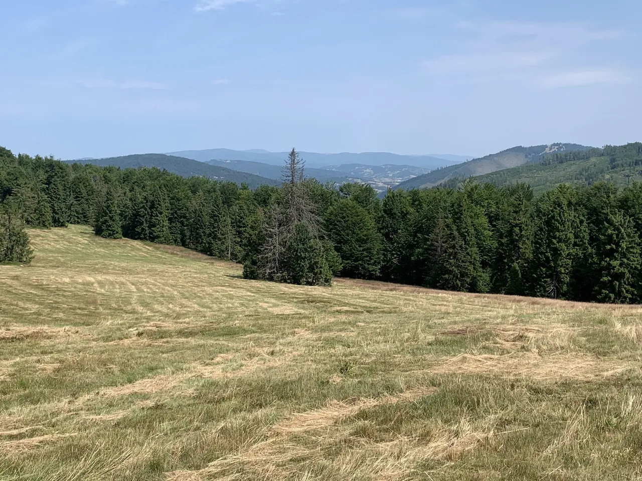 Widok z Hali Śrubita na północ.