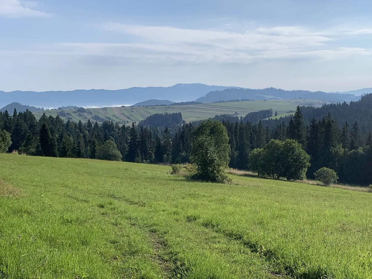 Wędrując po Spiszu. W tle Pieniny (bliżej) i Gorce (dalej)