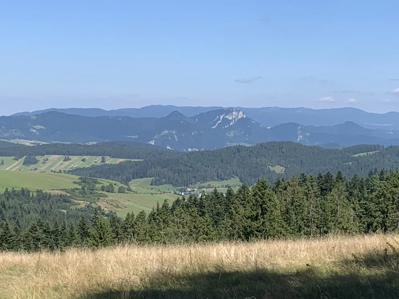 Widok na Pieniny (widać białe skały Trzech Koron). Za nimi - Beskid Sądecki z Radziejową (najwyższa po prawej, najdalszy plan)