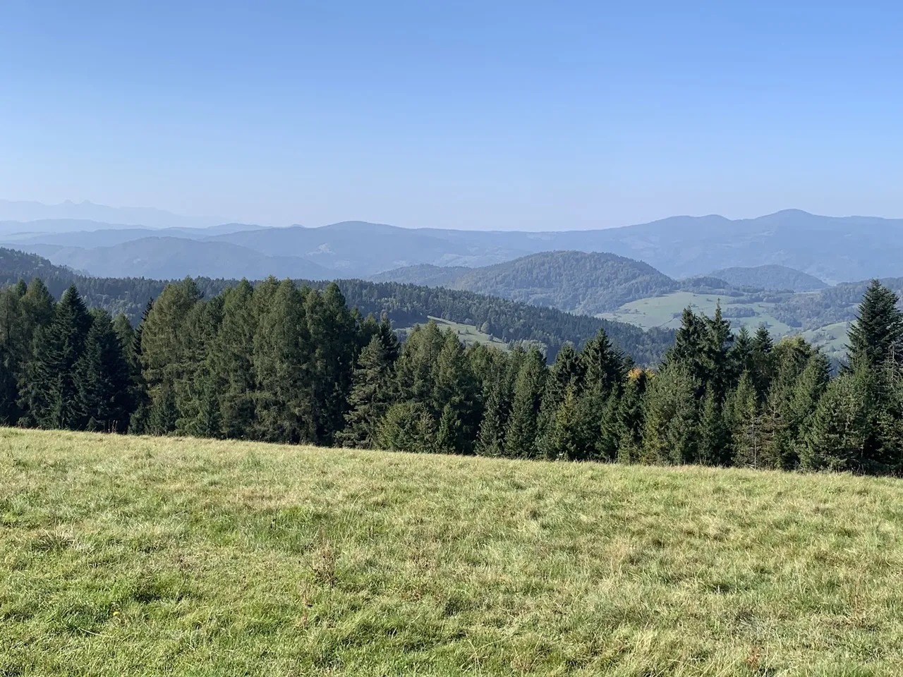 Widok spod Bacówki nad Wierchomlą. Po prawej w dali - Radziejowa, po lewej widać blado zarysowane Tatry. Po środku, na planie z Radziejową - Eliaszówka.