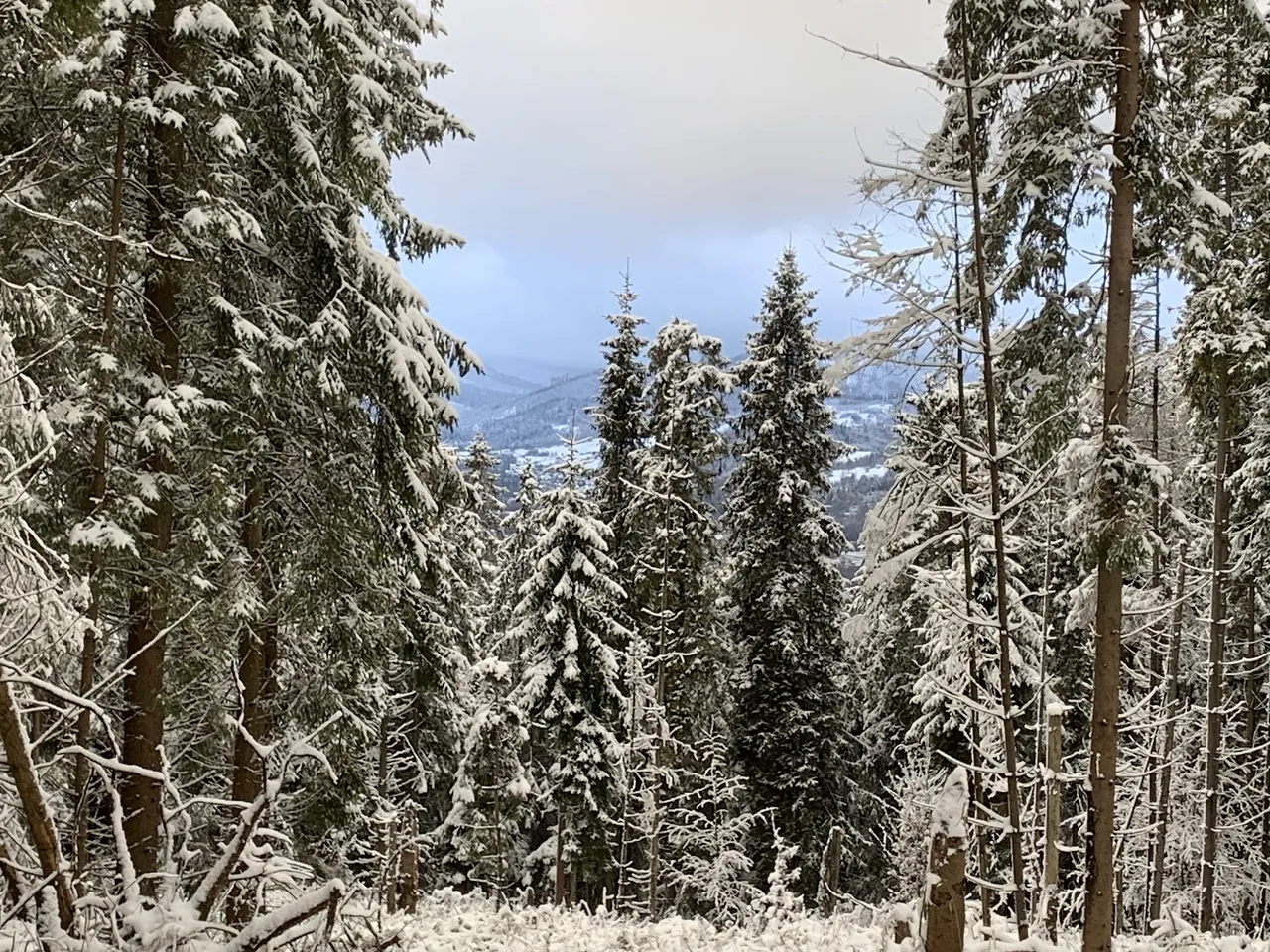 Widok z okolic Hutyrowa