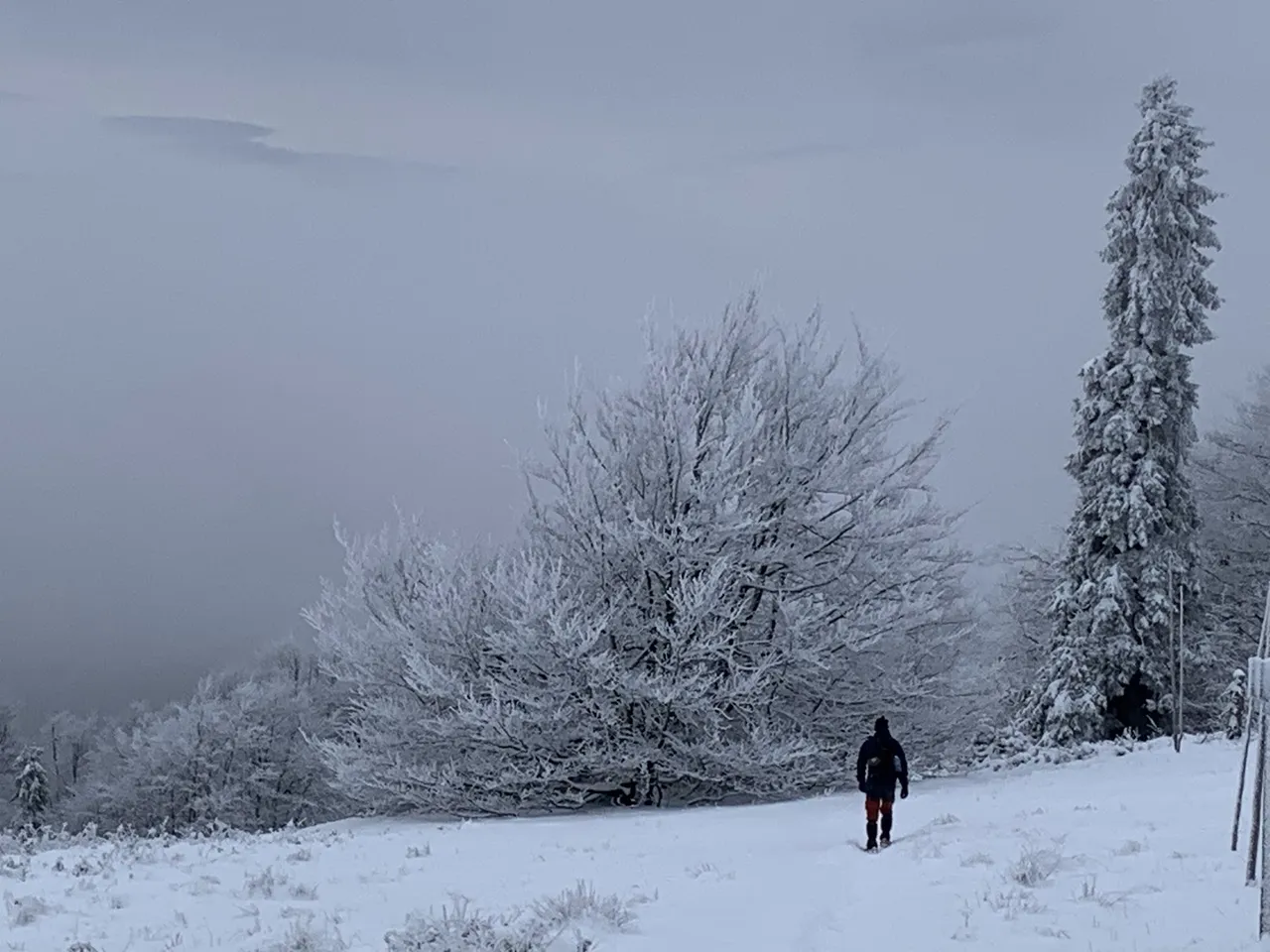 ”Widok” w okolicach Małej Raczy