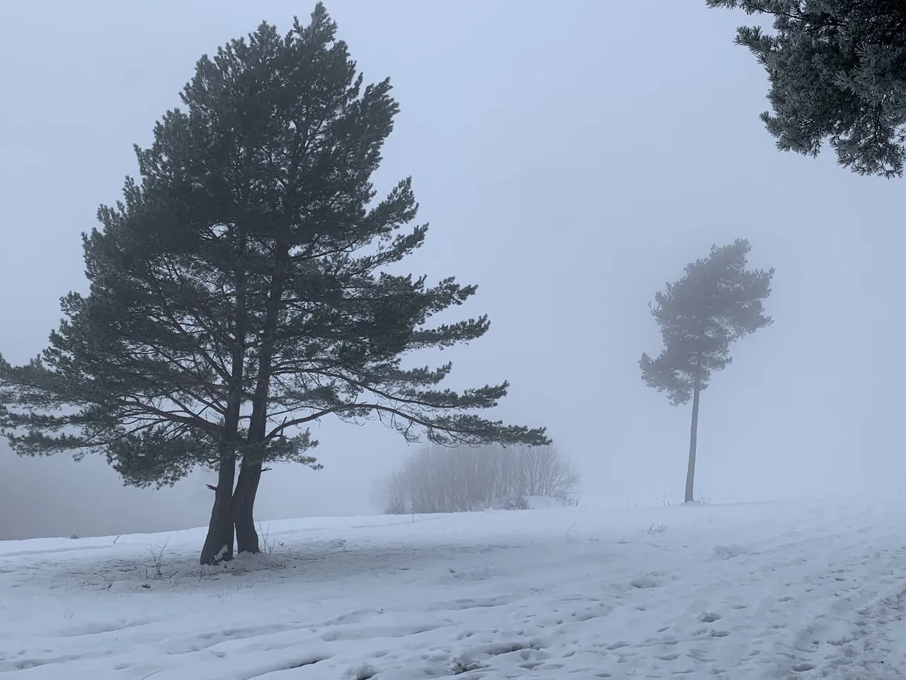 ”Widok” znad Przełęczy Cegiełka (Sedlo Cigielka)