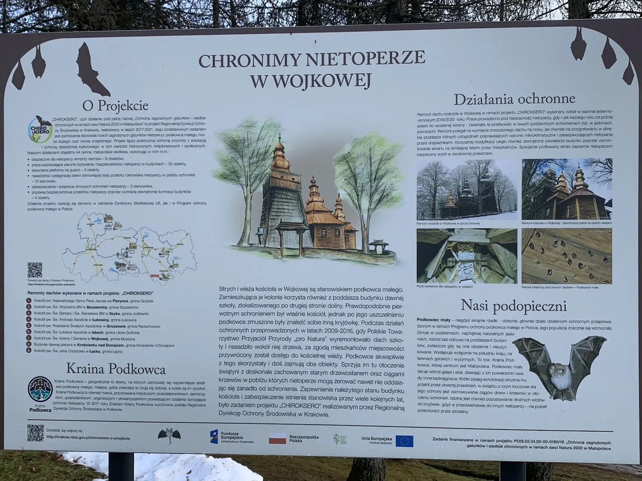 Ochrona podkowca małego.