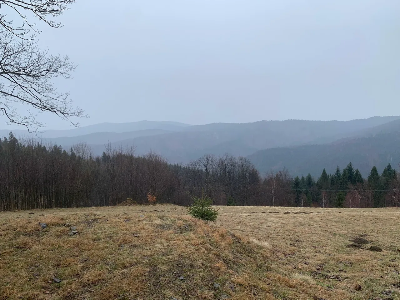 Widok z Potrójnej 883 na Leskowiec i Groń Jana Pawła II (na ostatnim planie, po lewej). Bliżej, po prawej - grzbiet Smrekowica - Potrójna 847