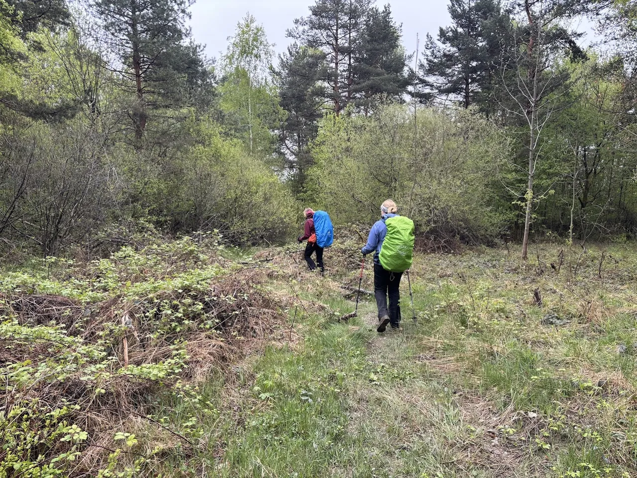 Szlak poniżej Magury Małastowskiej