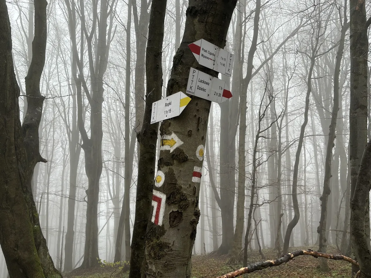 Rozejście szlaków pod Ostrym Wierchem