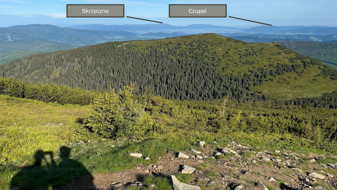 Widok z okolic Kościółków. W kierunku północno-zachodnim widzimy Skrzyczne (Beskid Śląski) i Czupel (Beskid Mały). Na pierwszym planie Mała Babia Góra