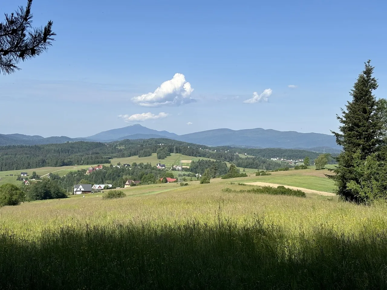 Widok z pól nad Skawą - kierunek zachodni. W tle Babia Góra (po lewej), pasmo Polic (środek)