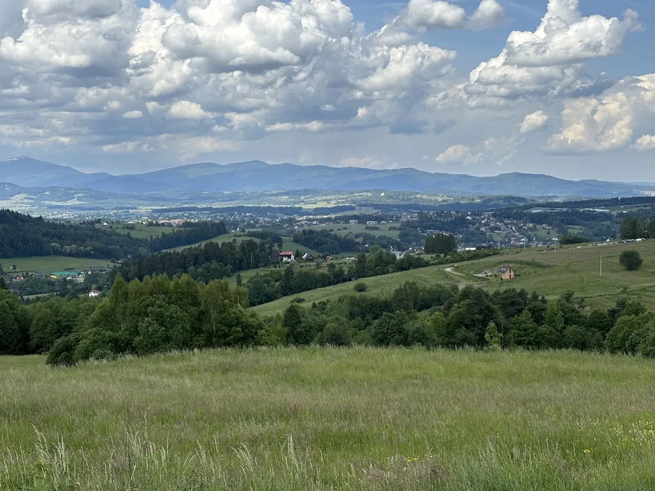 Widok z podejścia na Maciejową. Po lewej, na ostatnim planie - Babia Góra, na prawo od niej - pasmo Polic.