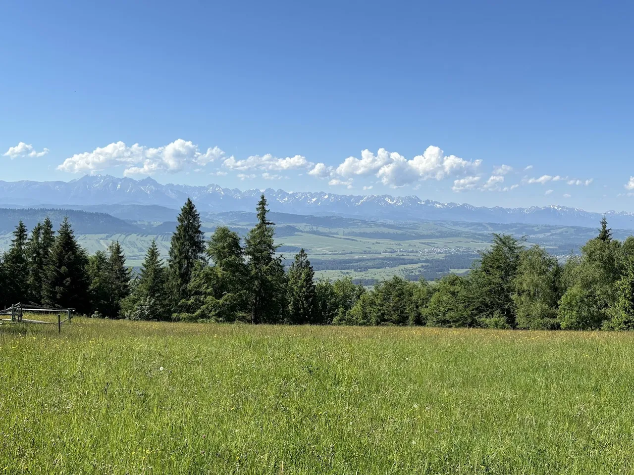 Widok na Tatry ze Studzionek.