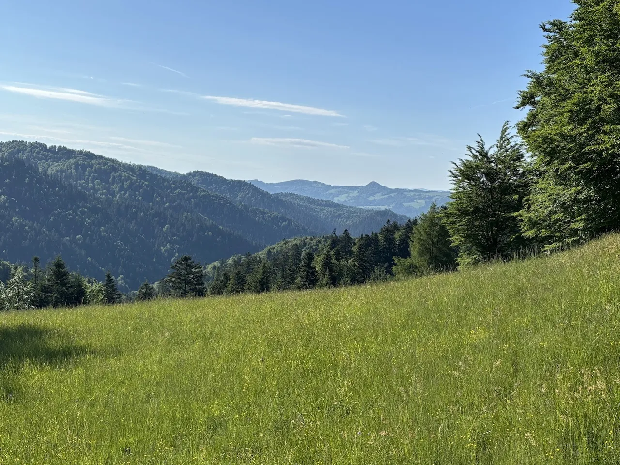 Widok z okolic Przysłopu. W dali Wysoka (Pieniny Małe)