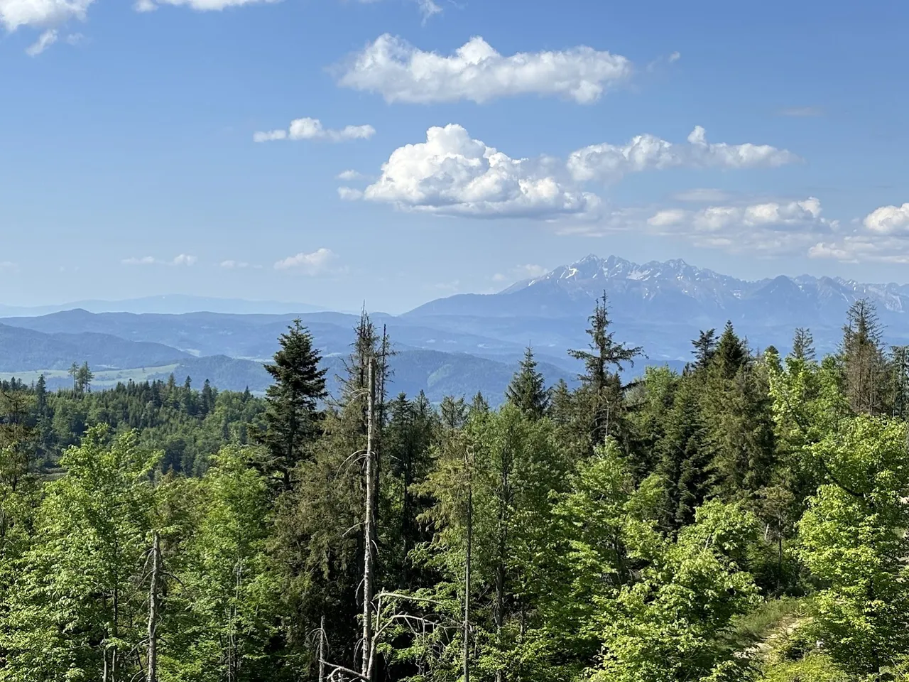 Widok na Tatry Wysokie i Bielskie z okolic Skałki