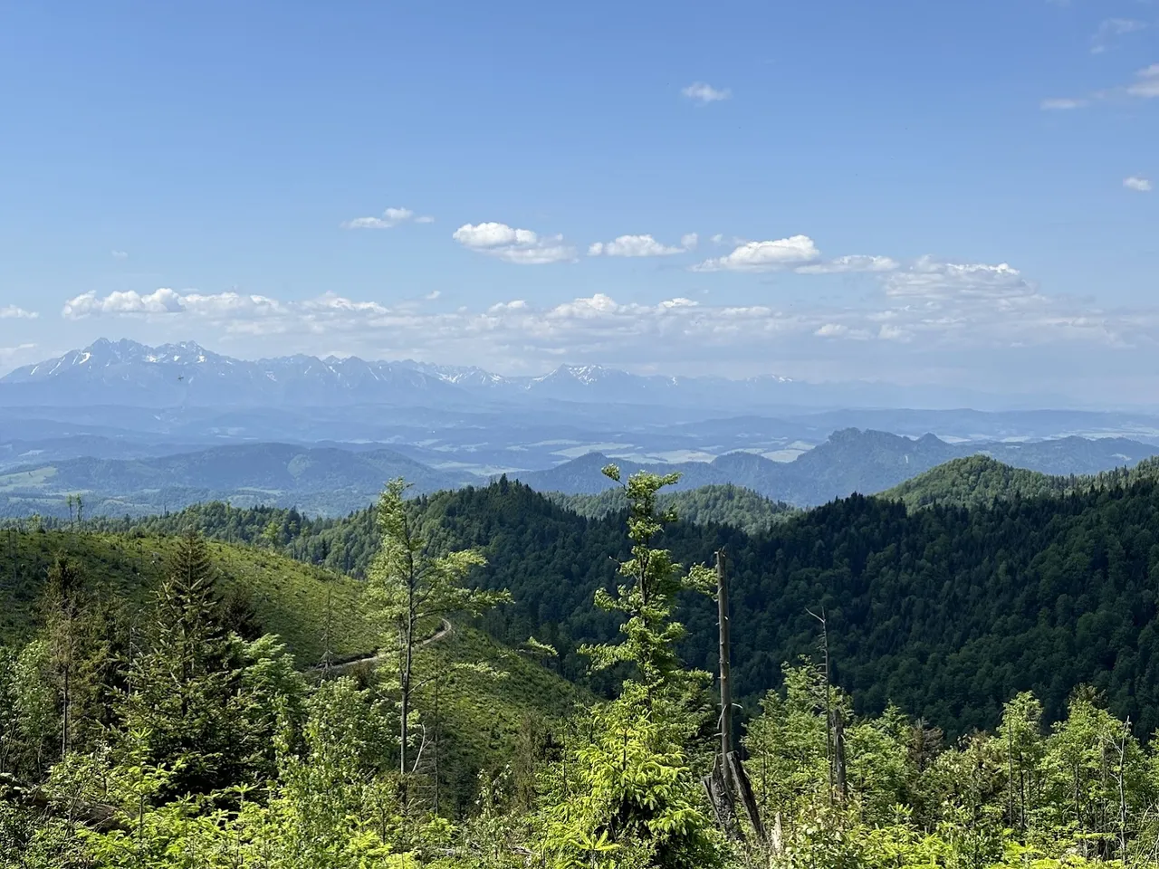 Widok ze Złomistego Wierchu na południe. Po prawej stronie, środkowy plan - ”poszarpana” góra to Trzy Korony. W dali Tatry.