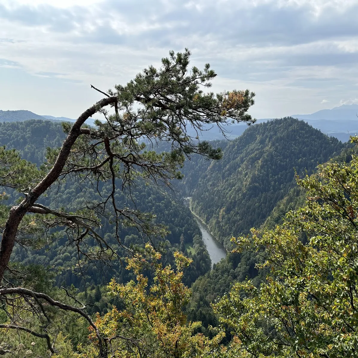 Widok pomiędzy Czertezikiem a Ociemnym Wierchem. W dole Dunajec; godzina 11:21