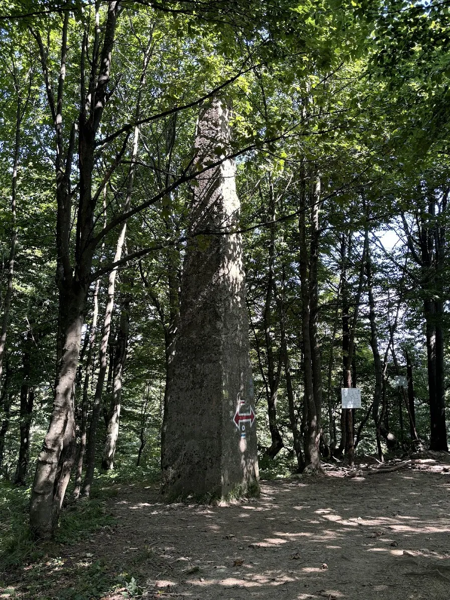 Austriacki obelisk pomiarowy na Chryszczatej