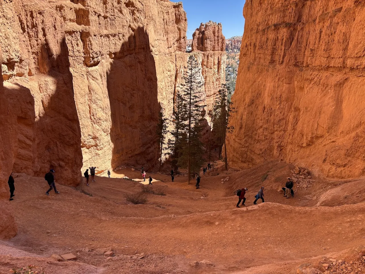 Switchbacks