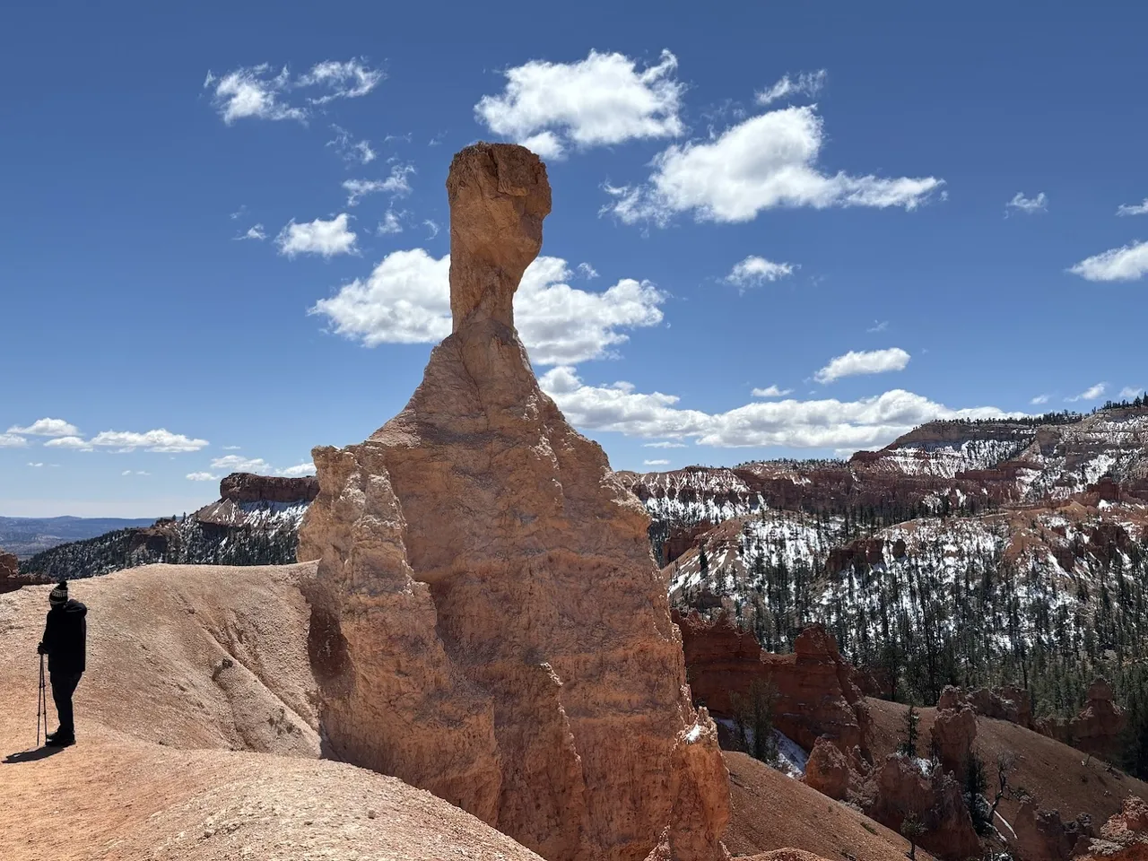 E.T. Hoodoo