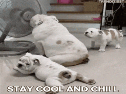 untitled.gif