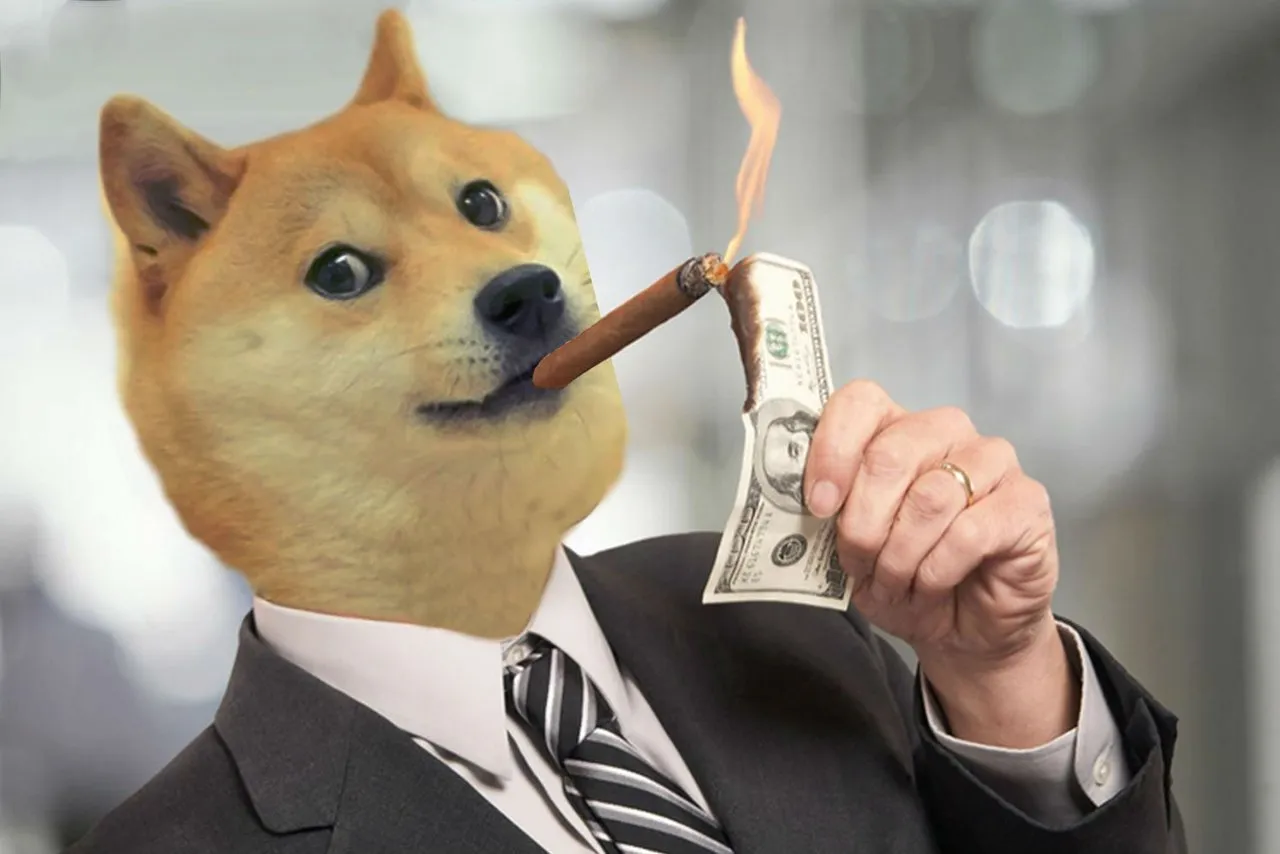 Rich Doge