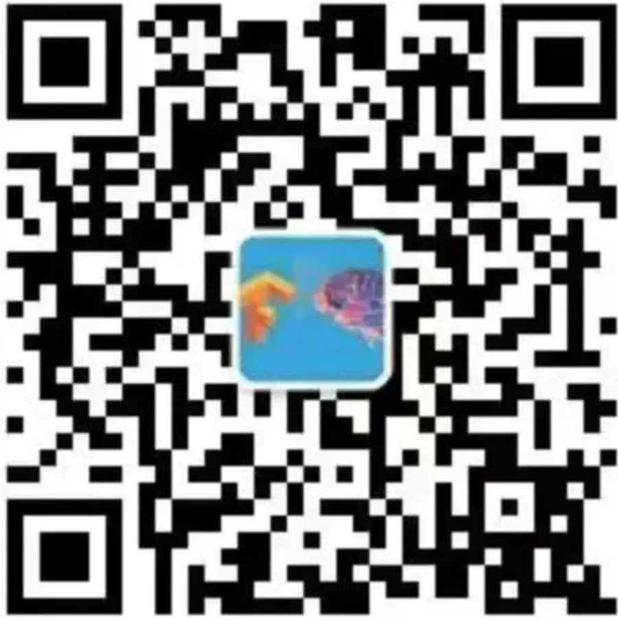image-20200120124818801