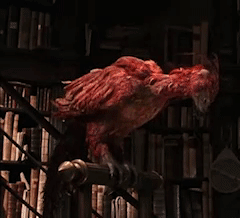 potter-phoenix14b97.gif