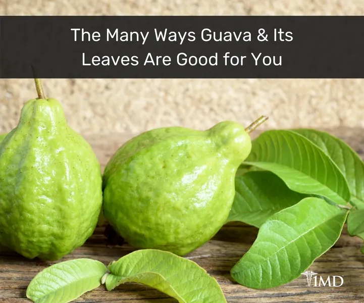 10147-featured_image-9-health-benefits-of-guava-leaves-you-may-not-know-about.jpg