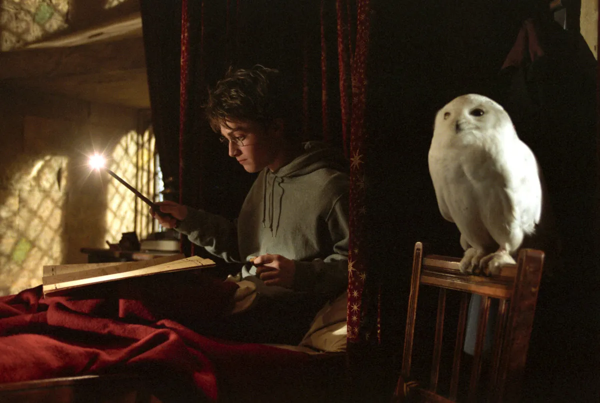 HarryPotter_WB_F3_HarryPotterInBedWithWandMaraudersMapAndHedwig_Still_100615_Land.jpg