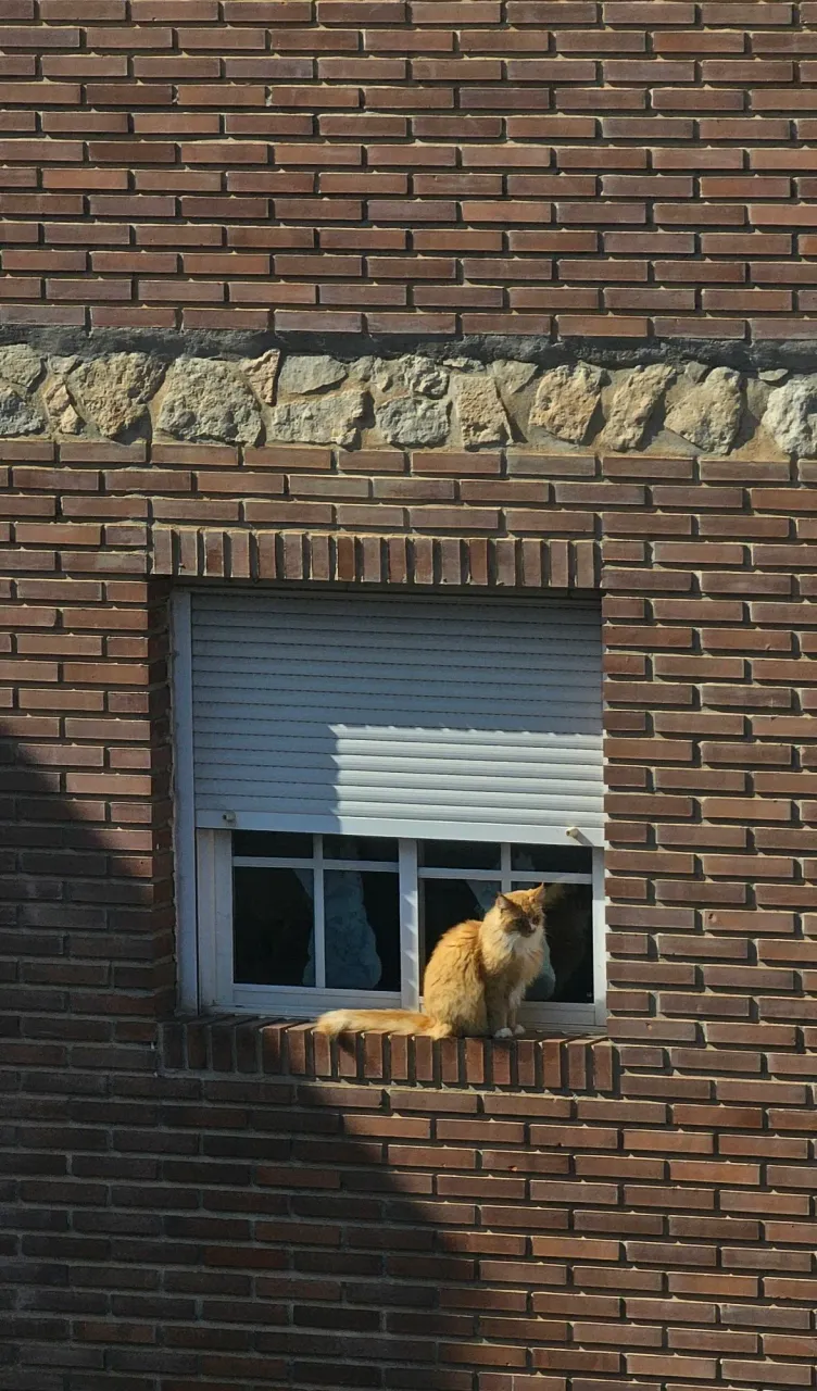 jyjMHBAs0aFPbnx6_20251016_141720.webp