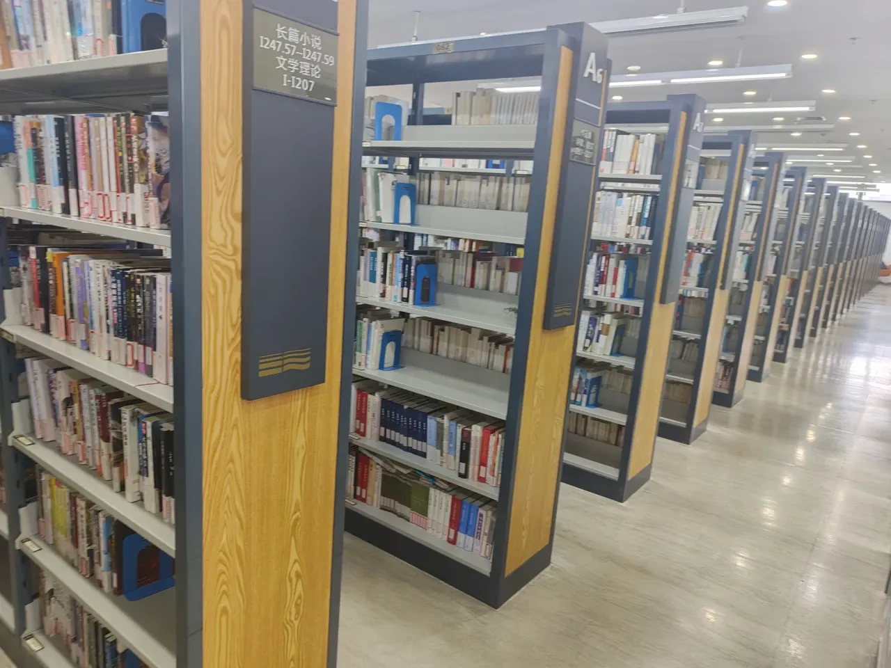 iDGbM5onVSwZYtPz_IMG20250725124226.webp