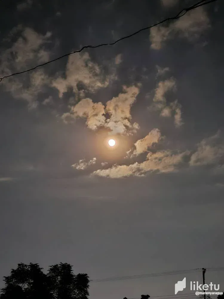 cln5oxwnx04dyajszdx78426z_Luna6.webp
