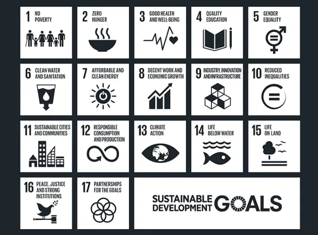 goals to transform our world.png