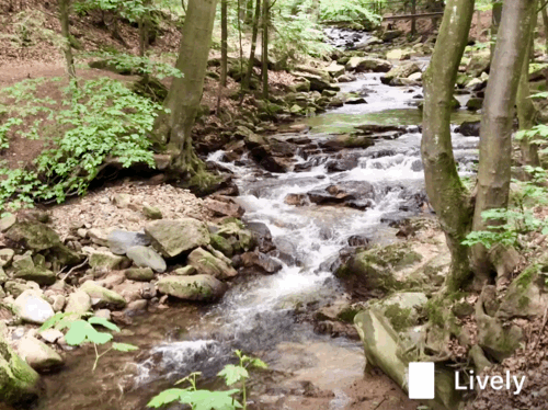 3524E2A8-E7DD-4051-A157-4795691FC209.gif