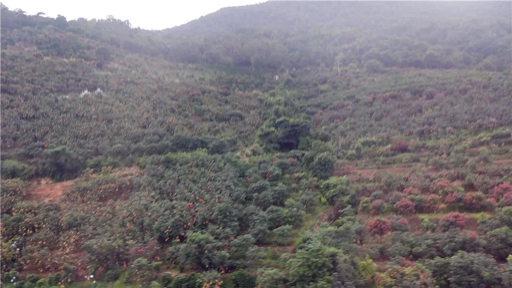 高黎贡山.jpg