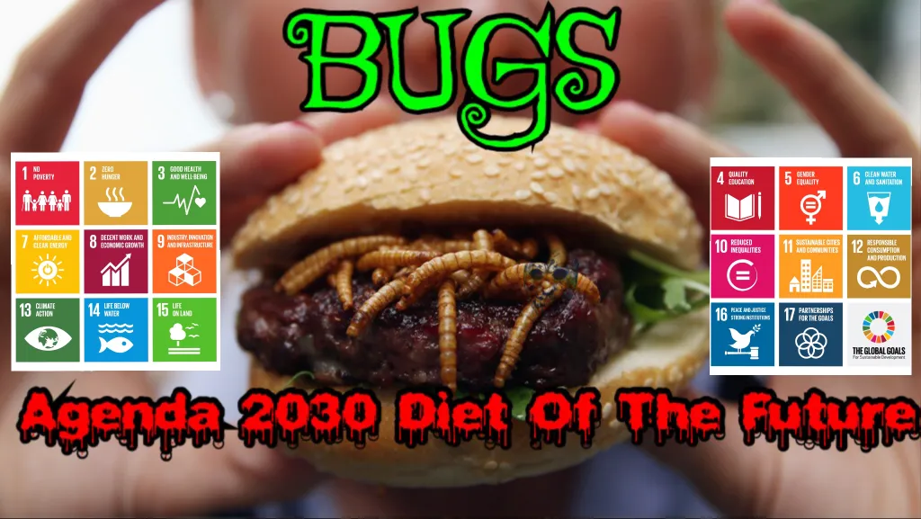 273B0756-AAAA-4CE2-956D-0EDBD67D62F6.png