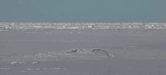 43C90BAA-6022-455E-A049-3881CFA6EF68.gif