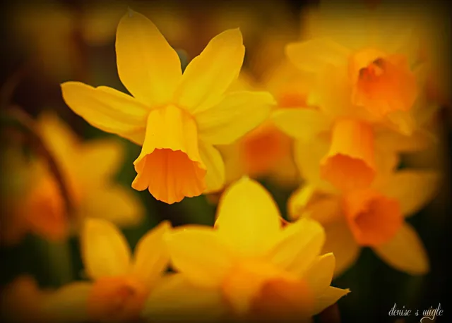5D0BAF37-B68B-43A5-804D-7CC34E1BC530.png