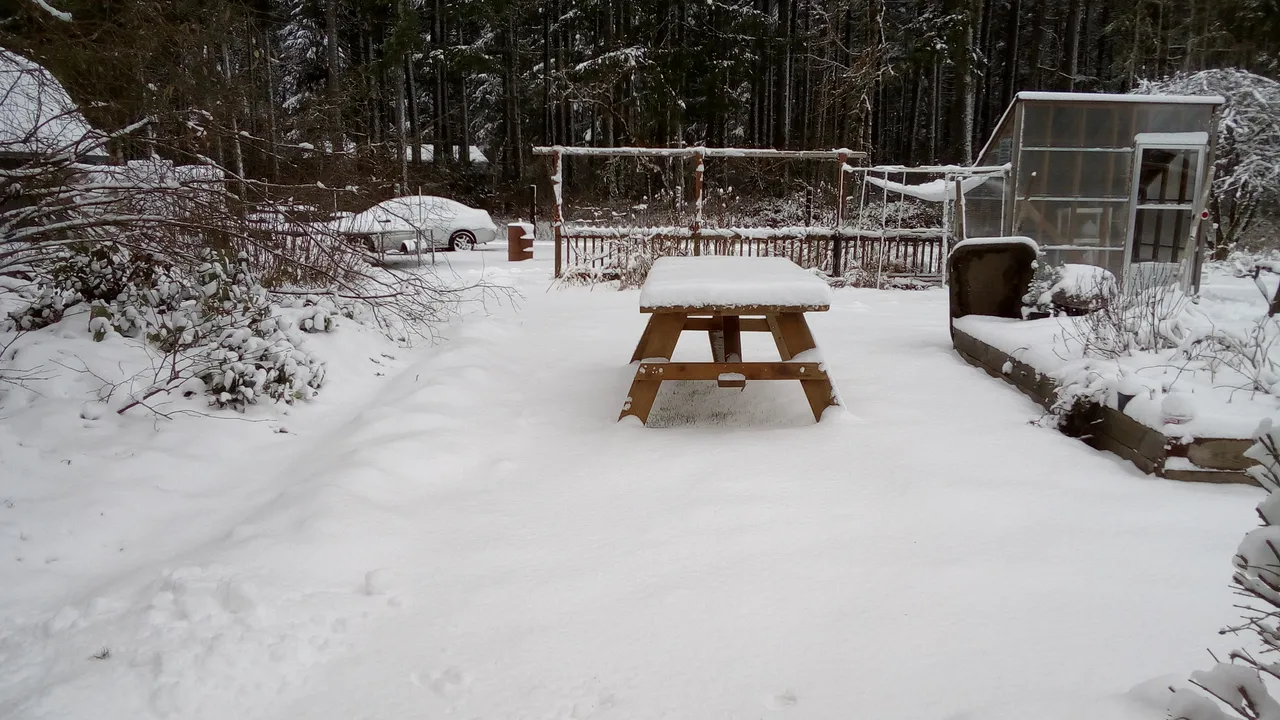 Picnic Table IMG_20190209_110059.jpg