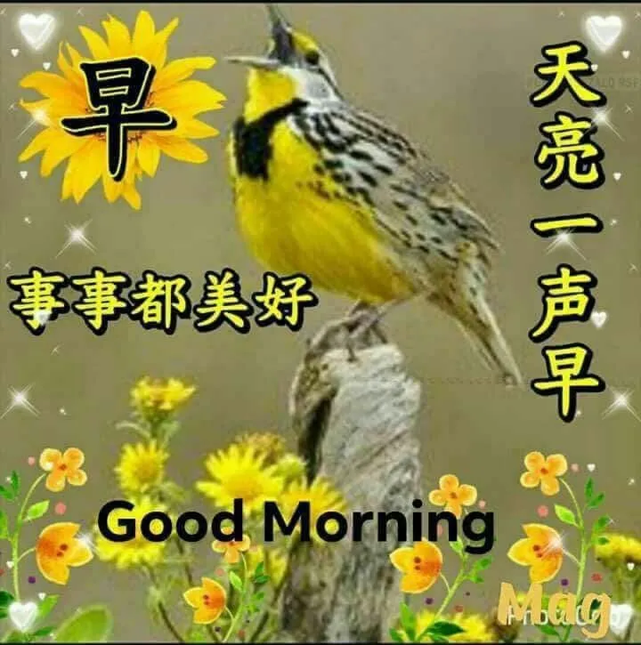 65e65d0c-eba2-4c07-980a-9b188a973e7f.jpg