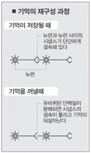 기억조절.JPG