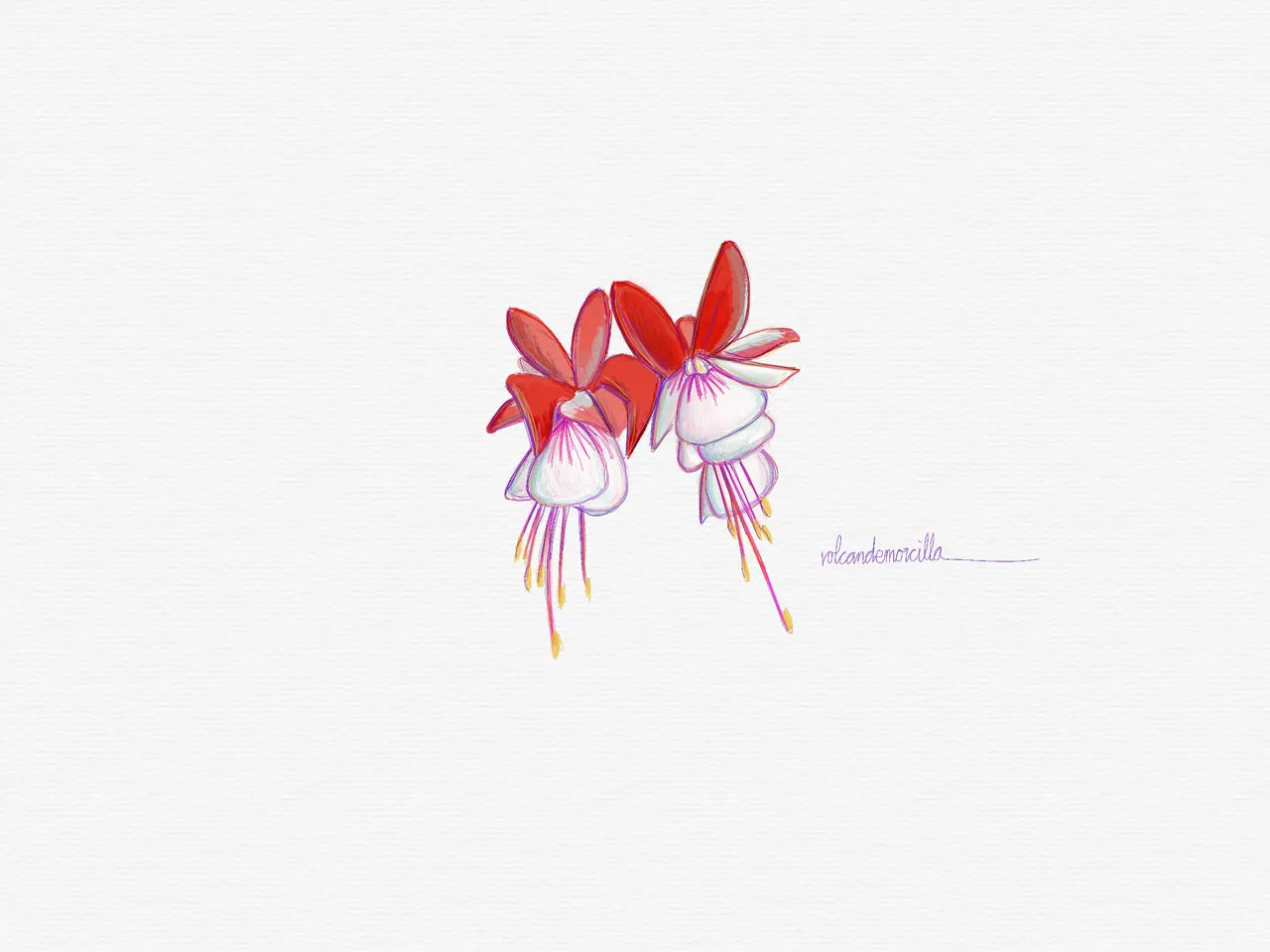 7025E9EA-DB22-4918-ACBB-910FA46FC106.png