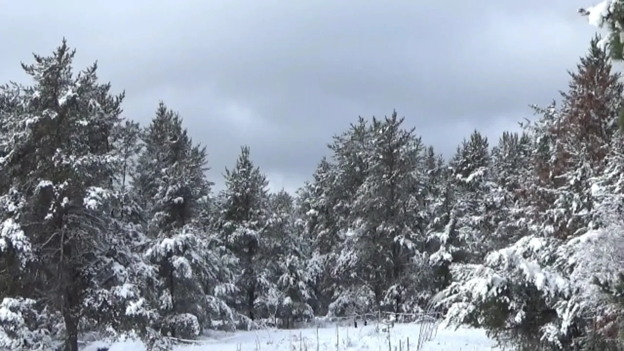 Heavy-Snow-At-The-Off-Grid-Homestead.jpg